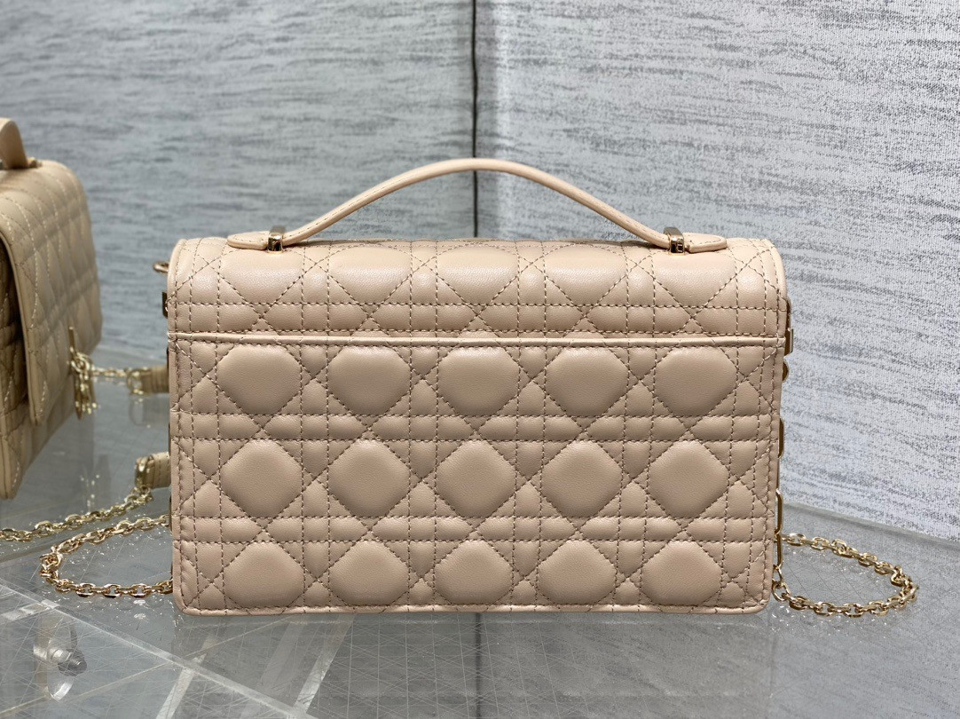 my D*or top handle bag 24x14x7.5cm