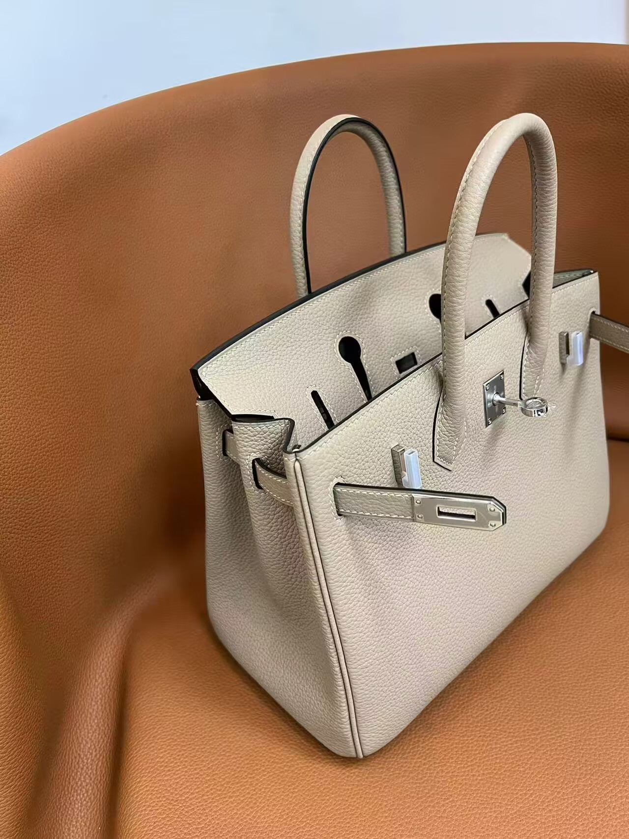 Hermès Birkin 25