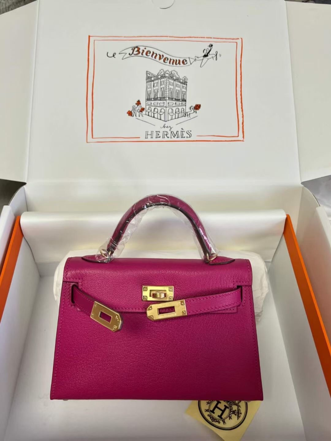 Hermès Mini Kelly Chèvre 19 19×6×12cm