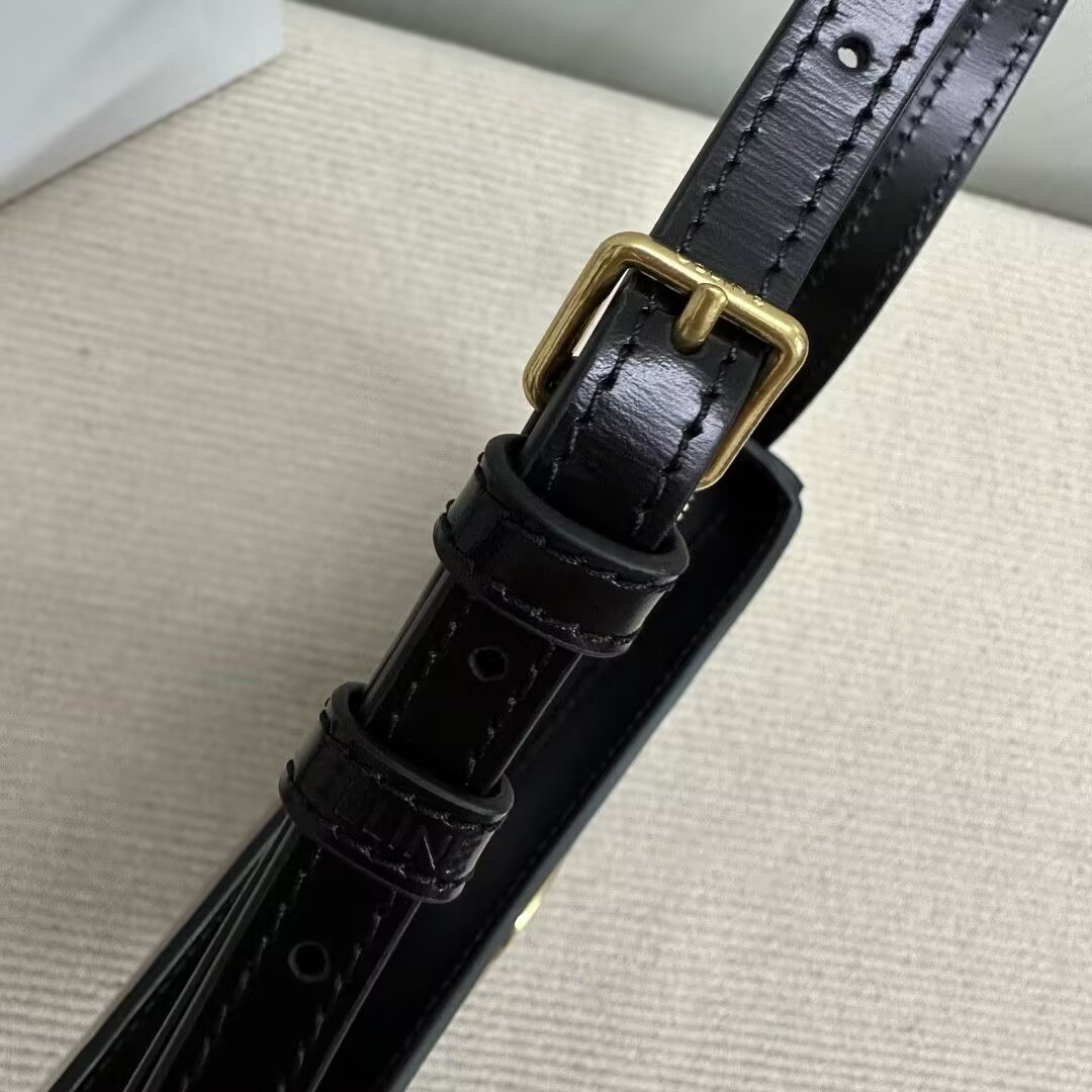 Ce**e medium tilly bag in shiny calfskin 22x13.5x4cm