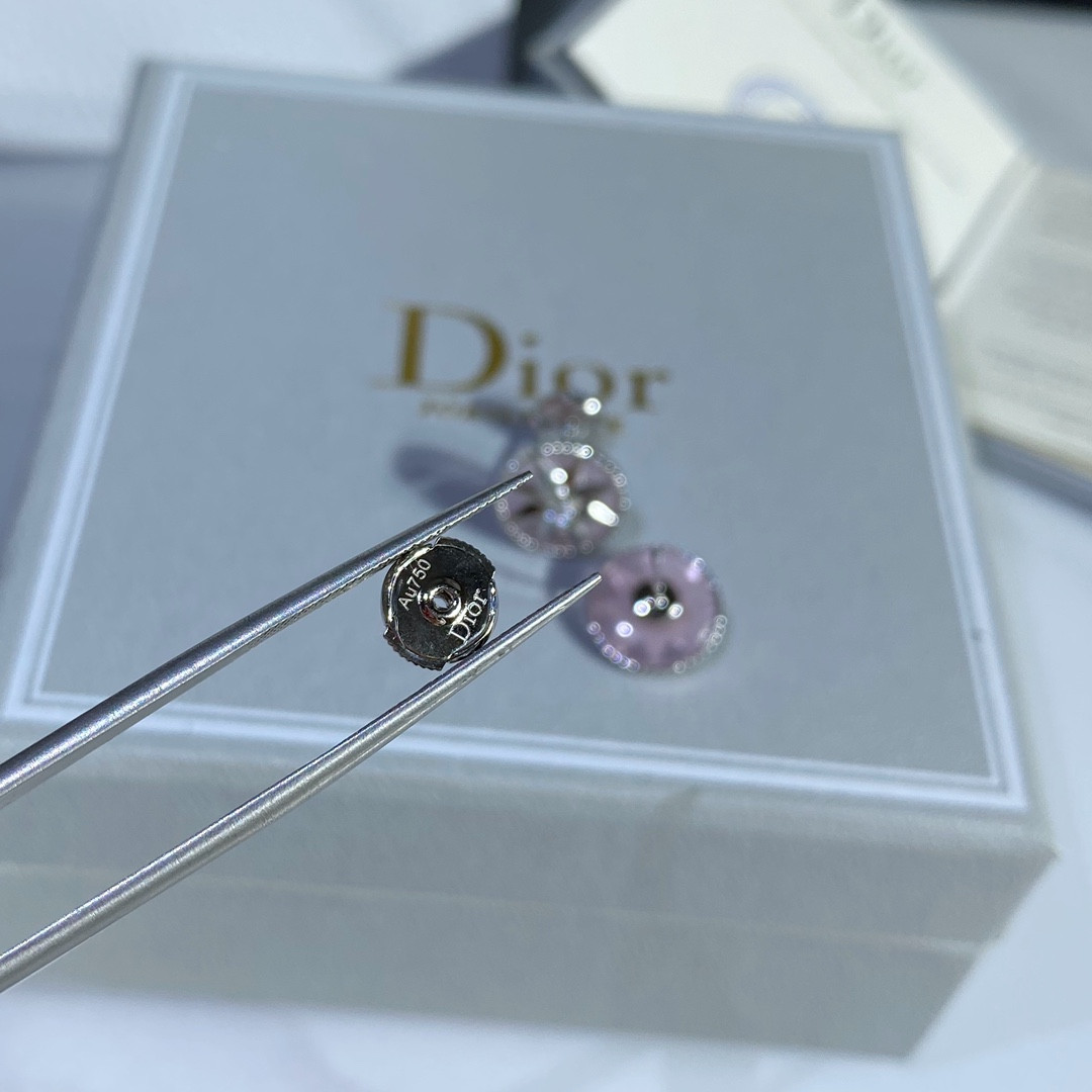 D*or compass stud earrings