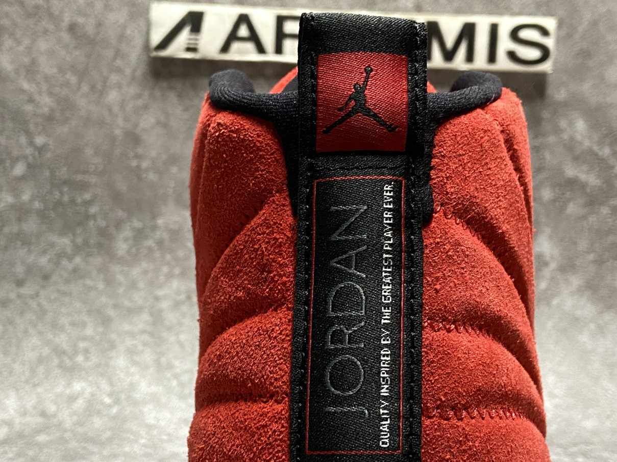 Air Jordan 12 Retro Reverse Flu Game
