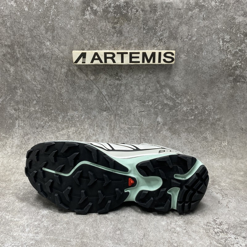 Salomon Icy Morn Low Top Sneakers